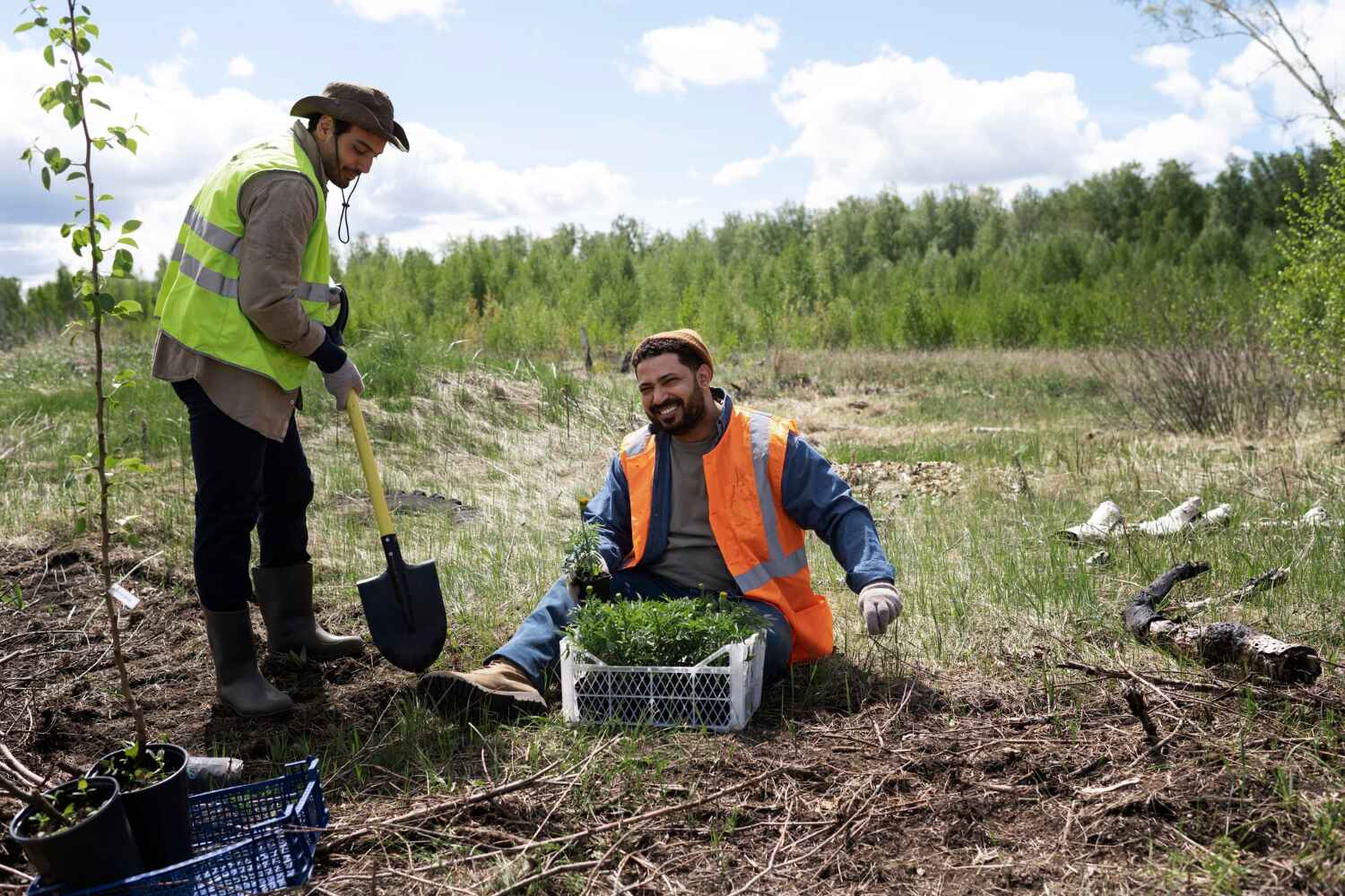 Best Tree Care Services  in Attica, MI